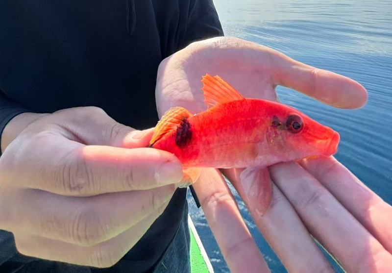 五目Fishingツアー